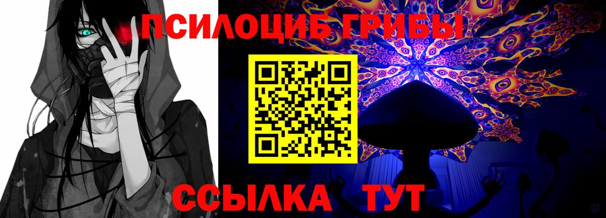 Галлюциногенные грибы GOLDEN TEACHER  как найти закладки  Петропавловск-Камчатский  Вход с VPN 