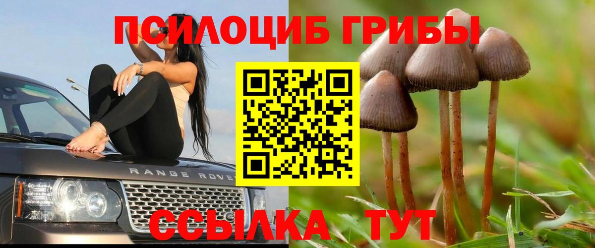 Галлюциногенные грибы GOLDEN TEACHER Петропавловск-Камчатский